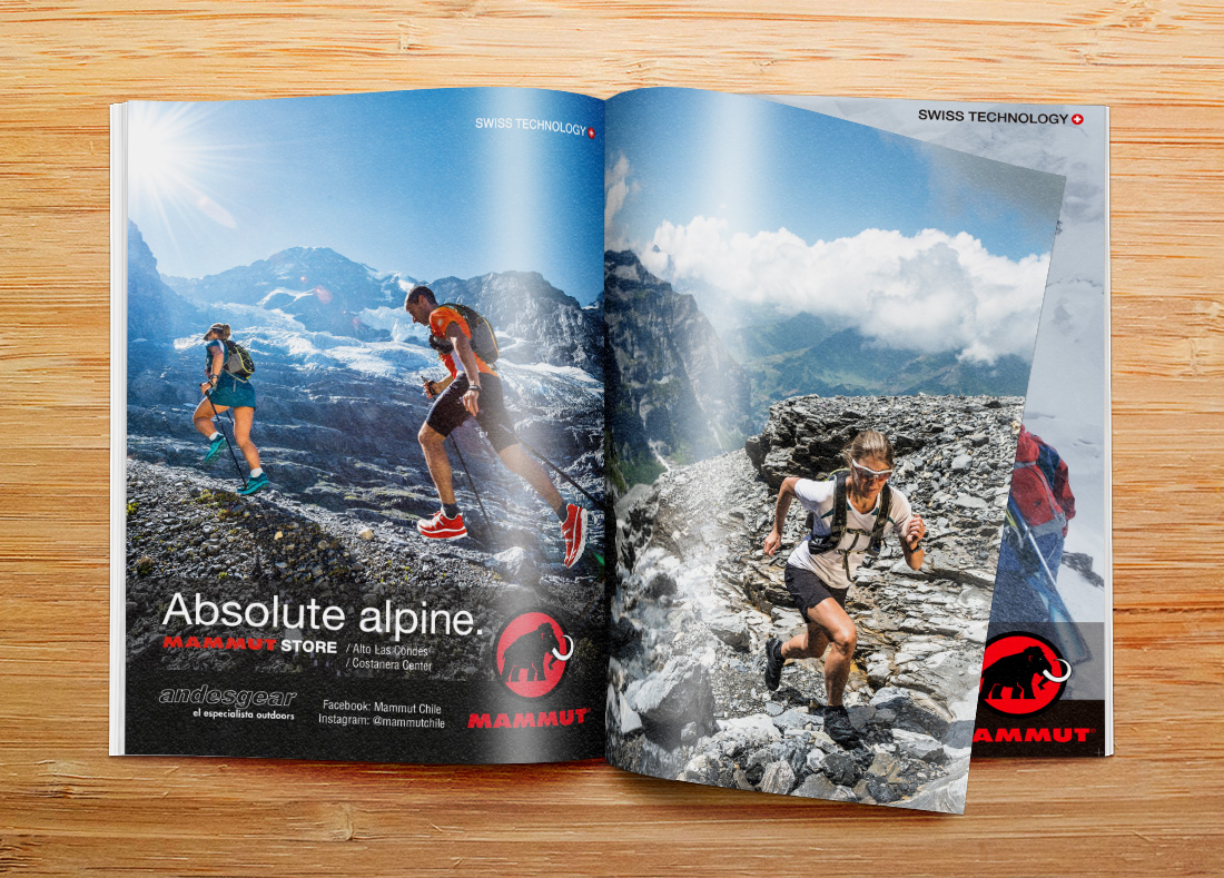 revista